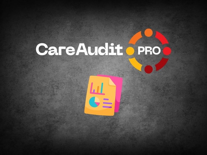 Understanding Independent Reports in Social Care